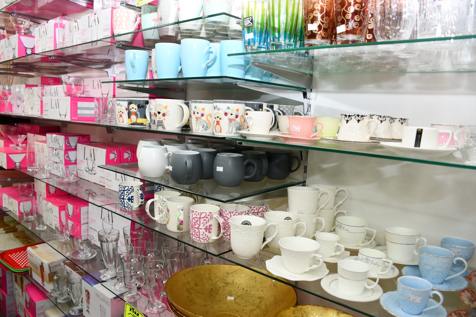 WhatsApp Image 2019-05-02 at 8.44.12 PM.jpeg.jpeg